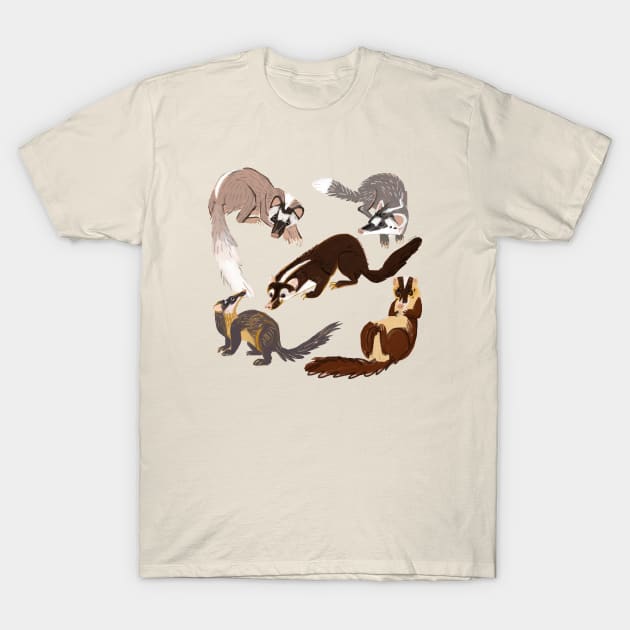 Ferret Badger Species T-Shirt by belettelepink